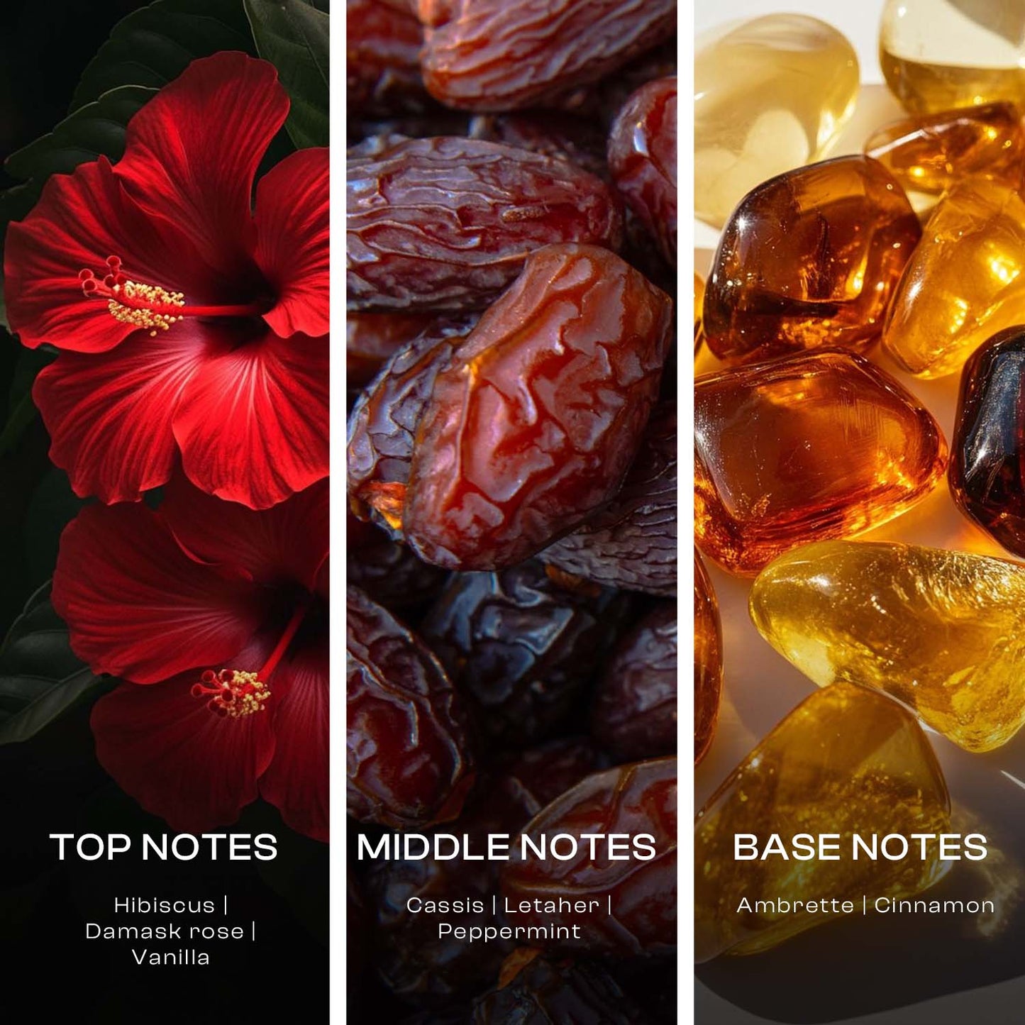 Hibiskus  La Serenite